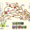 singapore orchid garden