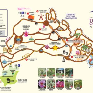 singapore orchid garden