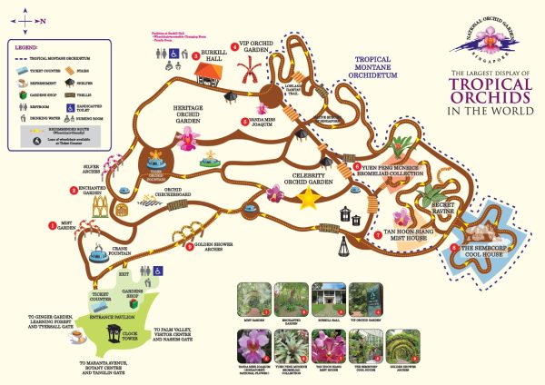 singapore orchid garden