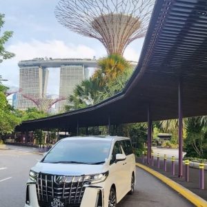 Alphard one way